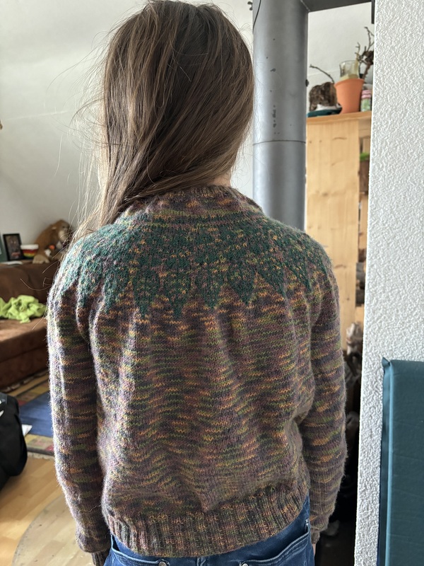 Rundpassenpullover Herbststurm