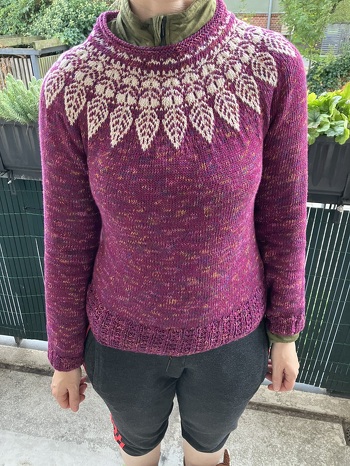 Die Anleitung ist sehr empfehlenswert hat wirklich Spaß gemacht wie sich dieser Pullover entwickelt hat.