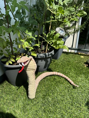 Das ging ganz einfach, und es lassen sich prima Reste verwerten!