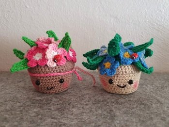 So ein pflegeleichtes Blümchen, schön zum Verschenken oder vielleicht durch die Blume 