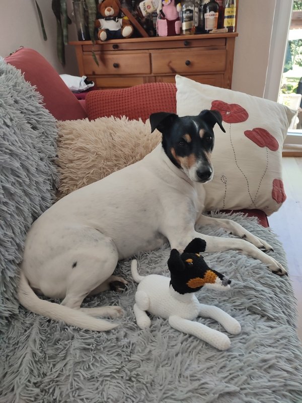 Hund Monty Häkelanleitung