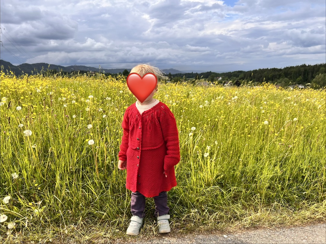 Strickanleitung Baby-Kinderjacke, in 7 Größen, mit schönem Blattmuster,
