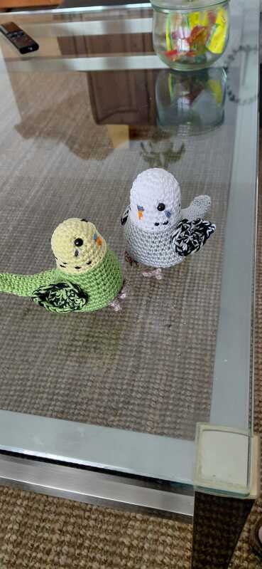 Häkelanleitung Wellensittich Baby Kiwi