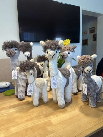 Ich bin mit der Anleitung sehr zufrieden, ich habe die Haare etwas anders gemacht und mit Chenille Fine gearbeitet, Lg Kreszenz 🧶🦙