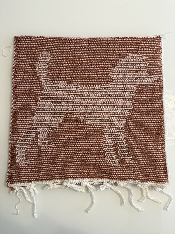 DIY Strickanleitung Kissenbezug mit Pudel und Pfotenspur (Schattenstricken)