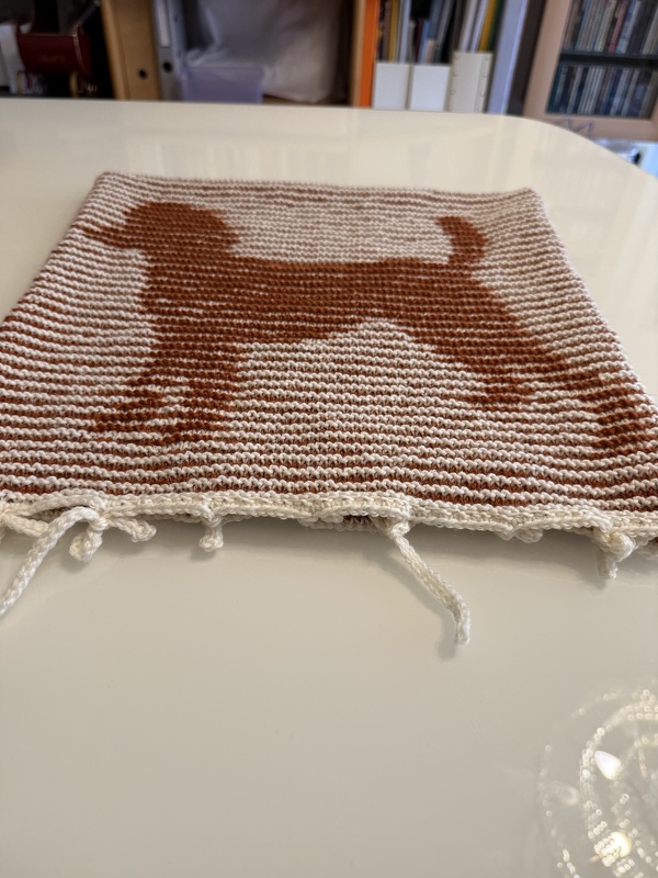 DIY Stickanleitung Kissenbezug mit Pudel und Pfotenspur (Schattenstricken)