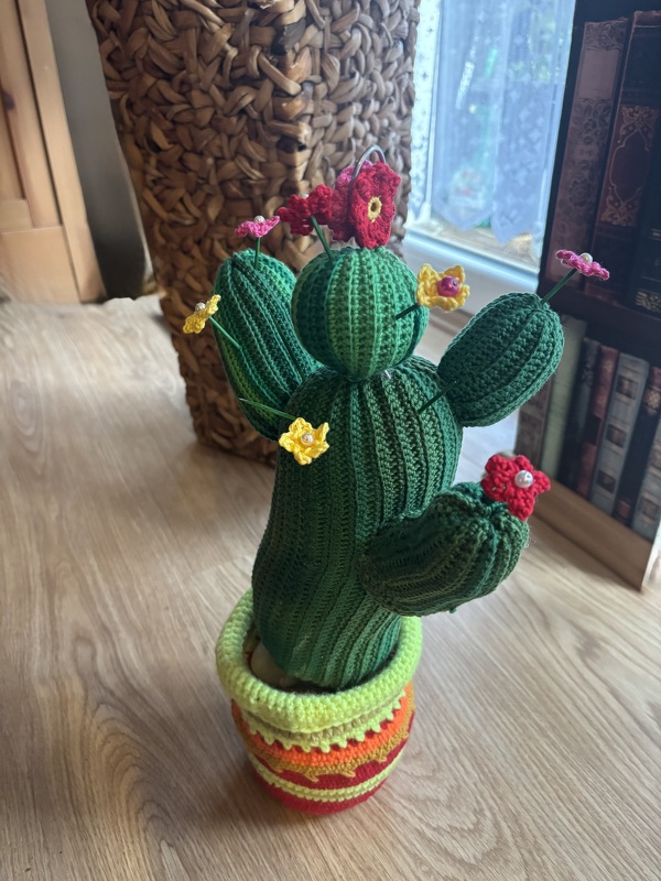 Häkelanleitung Kaktus Karlotta und Karlos Türstopper