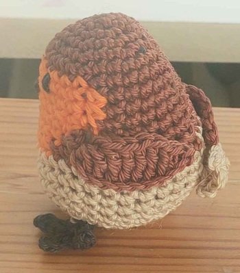 Rotkehlchen mit kleiner Variation [2/2]