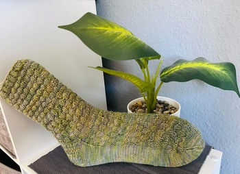 Minecraft Socken
#Sockenweltrekord