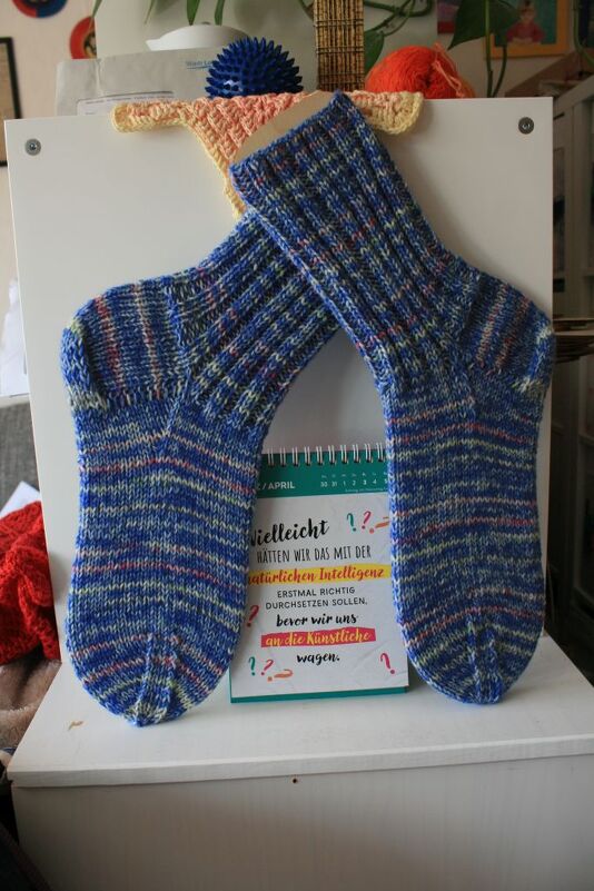 Speedy Socks No.2 - No.272E