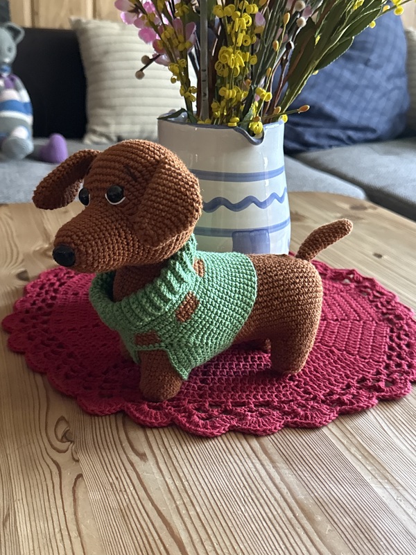 Dachshund Puppy