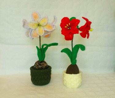 Amaryllis - Häkelanleitung