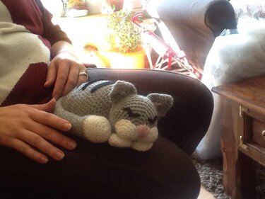 Schlafendes Kätzchen - Häkeln