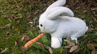 Oster-Häschen Meister aller Lampen - Nähen