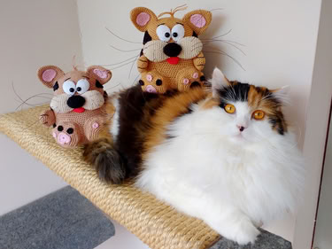 Two crocheted amigurumi cats beside a full-size calico cat to show scale