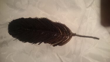 Federn aus Wolle selber herstellen  - Basteln