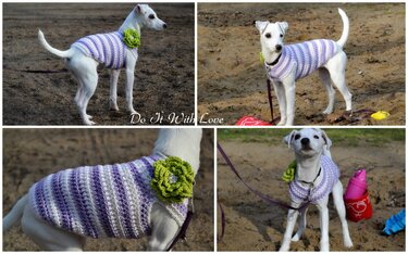 Häkelanleitung E-Book Hundepulli "Effie" in allen Größen