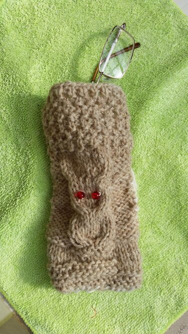 Brillenetui Eule - Stricken