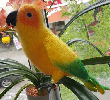 Sonnensittich PDF Datei  - Häkeln