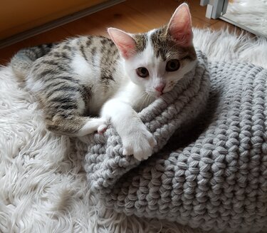 Katzenhöhle Häkelanleitung