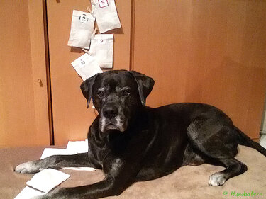 24 Stickers for advent calendars in 4 designs - Crafts