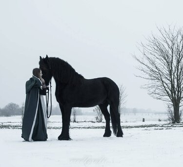 Seitliche Ansicht eines langen Umhangs mit Kapuze neben einem schwarzen Pferd im Schnee