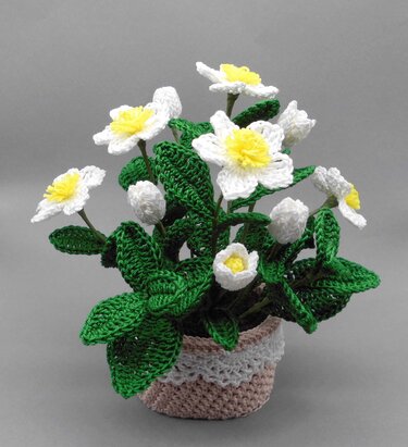 Häkel-Deko Christrose Lenzrose im Häkel-Topf oder für die Vase - einfach - Häkeln