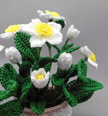 Crocheted white flowers with yellow centers and green leaves in a small pot