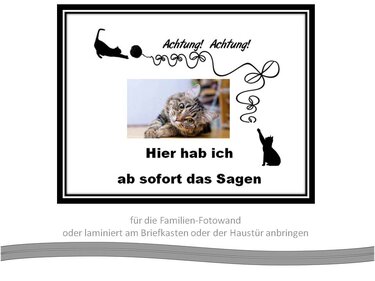 Katzenalarm