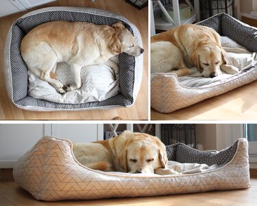 N&auml;hanleitung Hundebett | 3 Gr&ouml;&szlig;en mit Rei&szlig;verschluss - Nähen