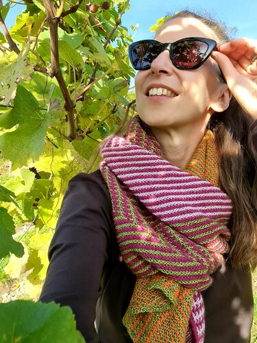 Strickanleitung Schal Lisanne