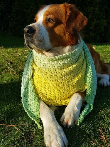 Muschelreigen - chilliges flaches Dreieckstuch *anfängertauglich* - Häkeln