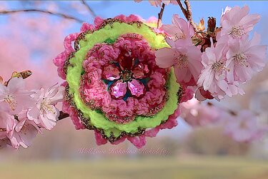 Häkel Anleitung Blüte Elfengarten - Häkeln