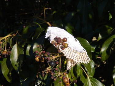 Anleitung geklöppelte Taube - Basteln
