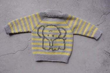 Raglanpulli mit Schnecke oder Elefant - Stricken