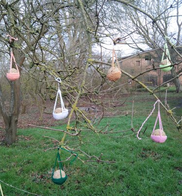 Bunte gehäkelte Meisenknödelhalter hängen an winterlichen Baumästen.
