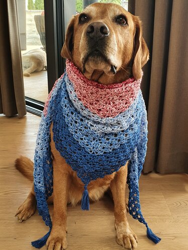 Herzmuschel - Häkelanleitung Dreieckstuch *anfängertauglich*