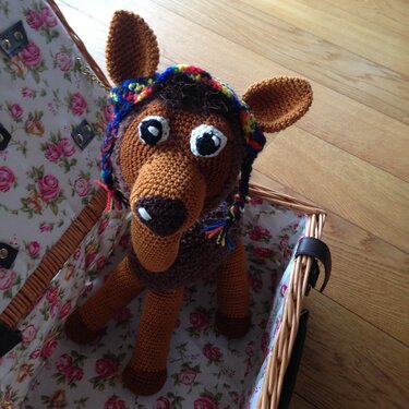 José das Lama - Häkeln