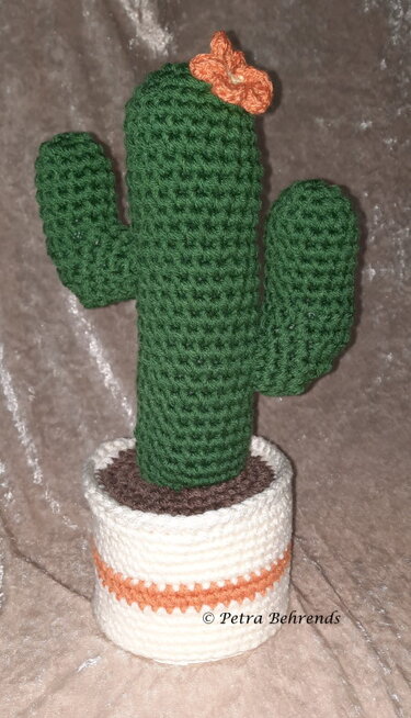 Klorollenhut Kaktus - Häkeln