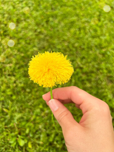 Hand hält flauschige gelbe Häkelblume vor unscharfem grünem Hintergrund