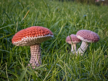 Fliegenpilz • LuckyTwins • Amigurumi Häkelanleitung PDF - Häkeln