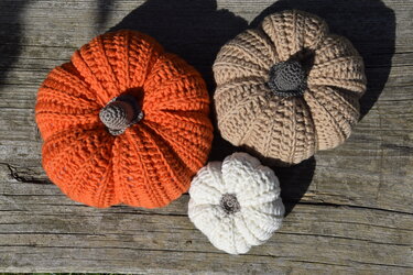Kleine und große gehäkelte Kürbisse auf Holzbrett in orange, beige und weiß