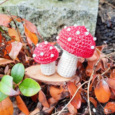 Häkelanleitung "Fliegenpilz-Duo" - Häkeln