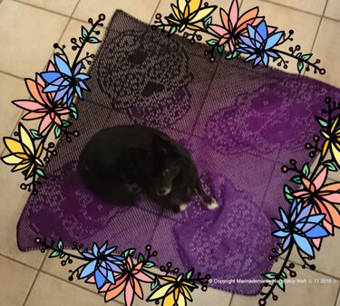 lila gehäkelte Decke mit Totenkopf-Kacheln und kleinem schwarzen Hund