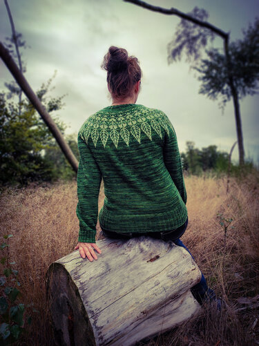 Rundpassenpullover Herbststurm