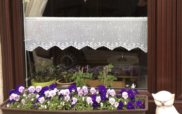 Weiße gehäkelte Scheibengardine mit gezackter Spitze, Fensterbank mit violetten Stiefmütterchen und Keramikfigur