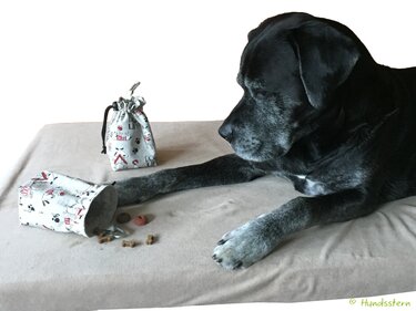 MINOU V2 treat pouch, with lining, 2 sizes, pattern - Sewing