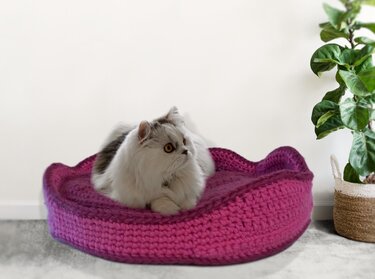 Pet bed. Crochet pattern