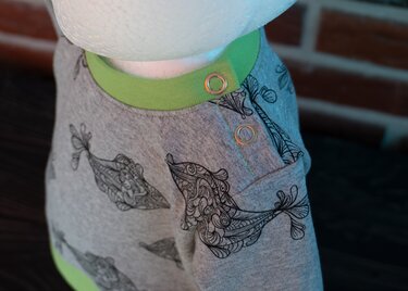 Grauer Babypullover mit grünem Kragenbündchen, schwarz gezeichneten Fischmotiven und zwei Druckknöpfen an der Schulter