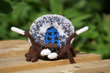 Pfauenspinne Maratus nigromaculatus Anleitung - Häkeln